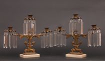 Appraisal: Pair of Bronze Candelbara Pair of arm candelabra have fairly