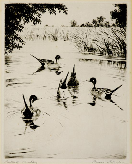 Appraisal: Hans Kleiber Wyoming - PINTAILS FEEDING etching framed signed titled