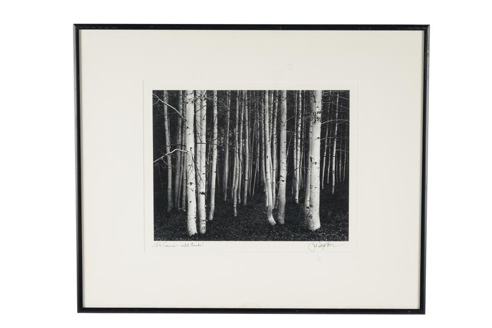 Appraisal: JOHN SEXTON ASPEN DUSK circa signed in pencil x inches