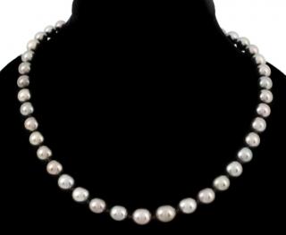 Appraisal: South Sea Cultured Pearl Necklace k Gold Clasp Ladies South