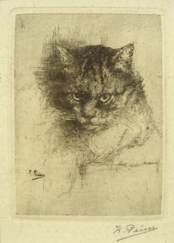 Appraisal: K Peiser - Detailed engraving of a cat pencil signed