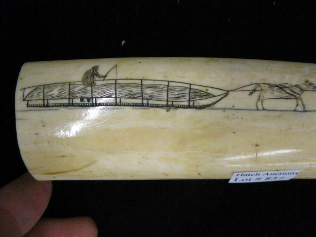 Appraisal: Early Eskimo Scrimshaw Ivory Walrus Tusk dog sled penquin decor