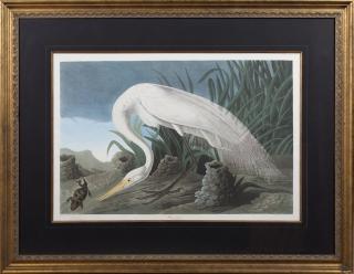 Appraisal: John James Audubon - White Heron No Plate Amsterdam edition