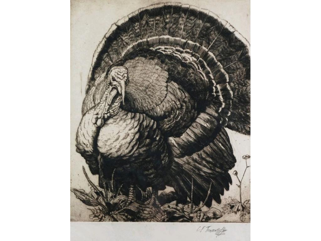 Appraisal: CHARLES FREDERICK TUNNICLIFFE - ARTIST SIGNED ORIGINAL ETCHINGStudy of a