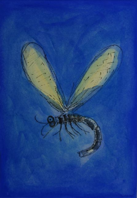 Appraisal: Pro Hart - Dragonfly etching signed 'PRO HART' lower right