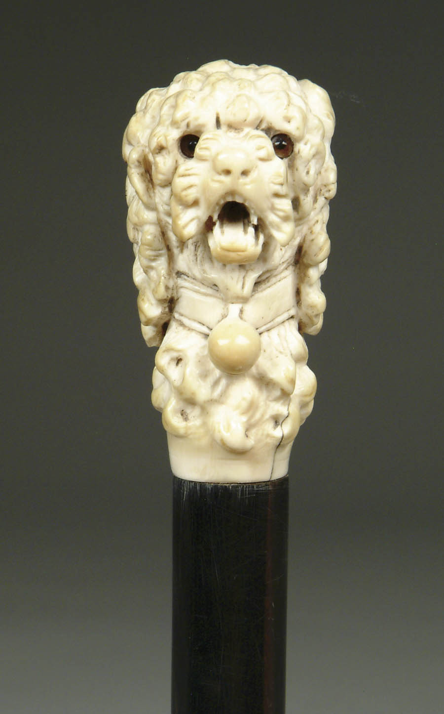 Appraisal: CARVED IVORY DOG HEAD CANE Large Cocker Spaniel type head