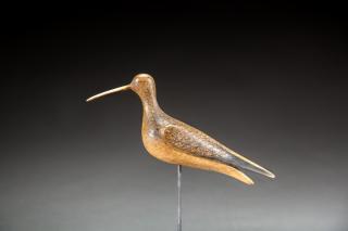 Appraisal: Eskimo Curlew by Mark S McNair b Eskimo CurlewMark S