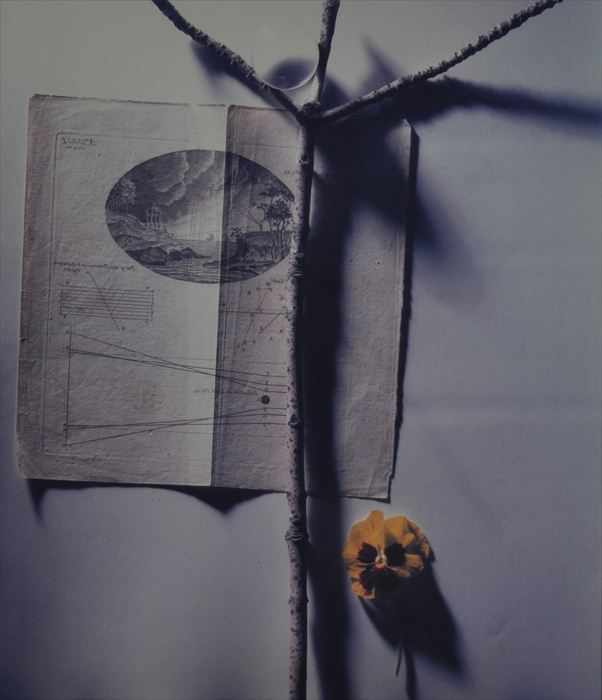 Appraisal: GYORGY KEPES - UNTITLED COMPOSITION WITH VIOLET Poloroid print x