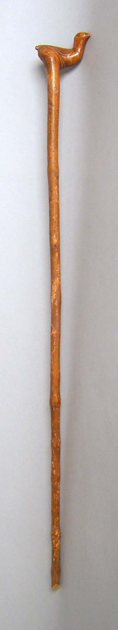 Appraisal: Pennsylvania carved cane with bird grip