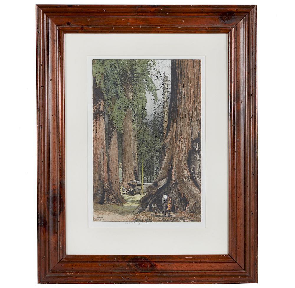 Appraisal: Luigi Kasimir - Etching Wawona Mariposa Grove Framed Luigi Kasimir