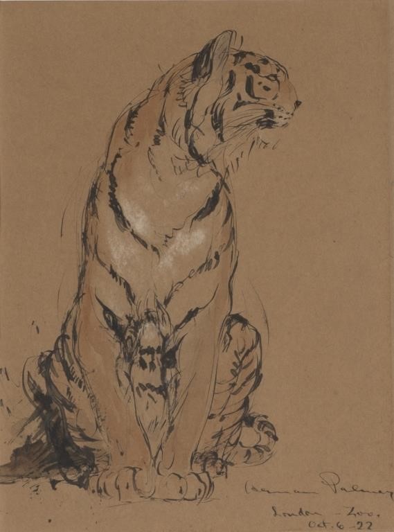 Appraisal: Seated Tiger signed Herman Palmer lower right pen and ink