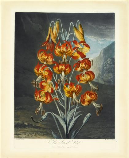 Appraisal: piece Mezzotint Aquatint Printed in Color and Finished by Hand