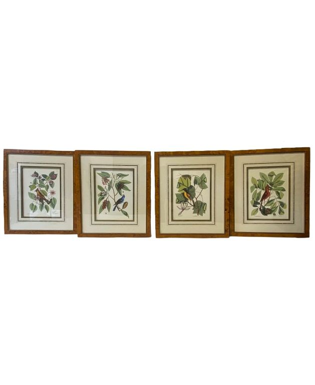 Appraisal: Four Floral Design Bird Prints Four Floral Design Bird Prints