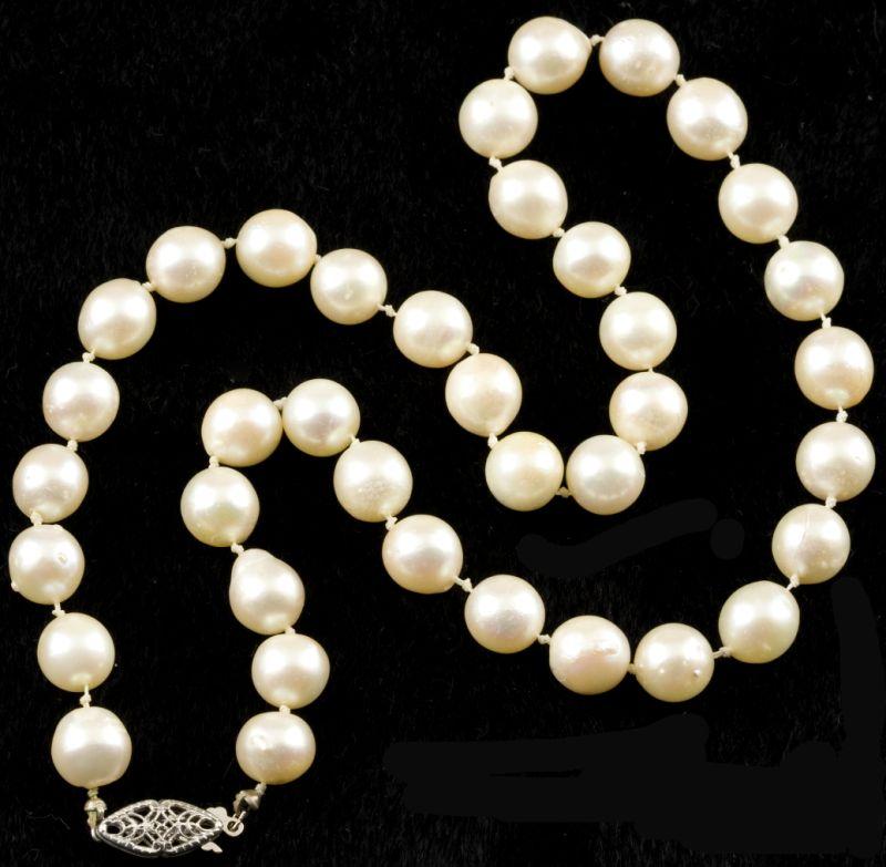 Appraisal: Large Akoya Pearl Necklace consisting of a in long strand