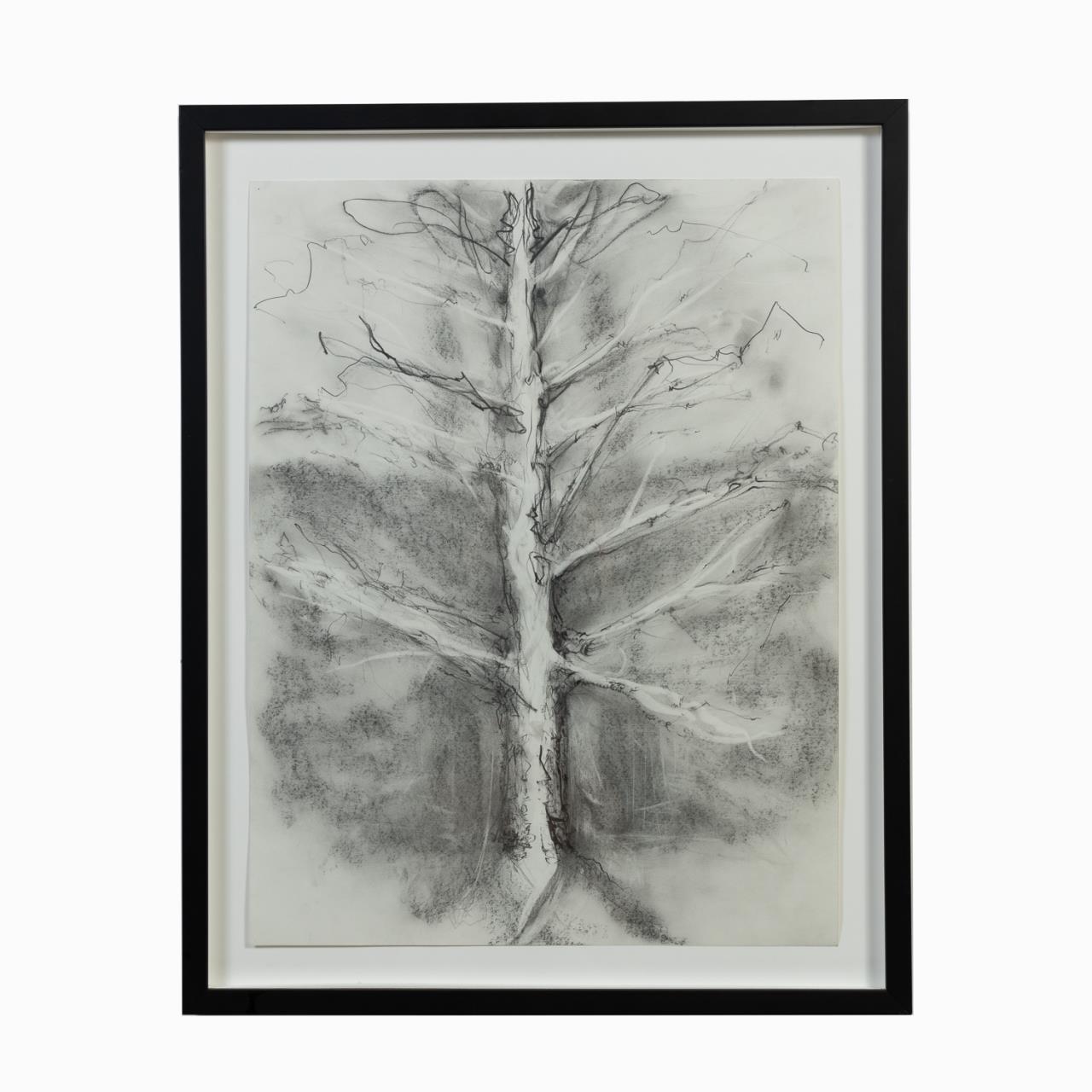 Appraisal: ANGUS GALLOWAY CHARCOAL ON PAPER TREE Angus Galloway American active