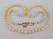 Appraisal: A graduated cultured pearl necklace with yellow metal tests carat