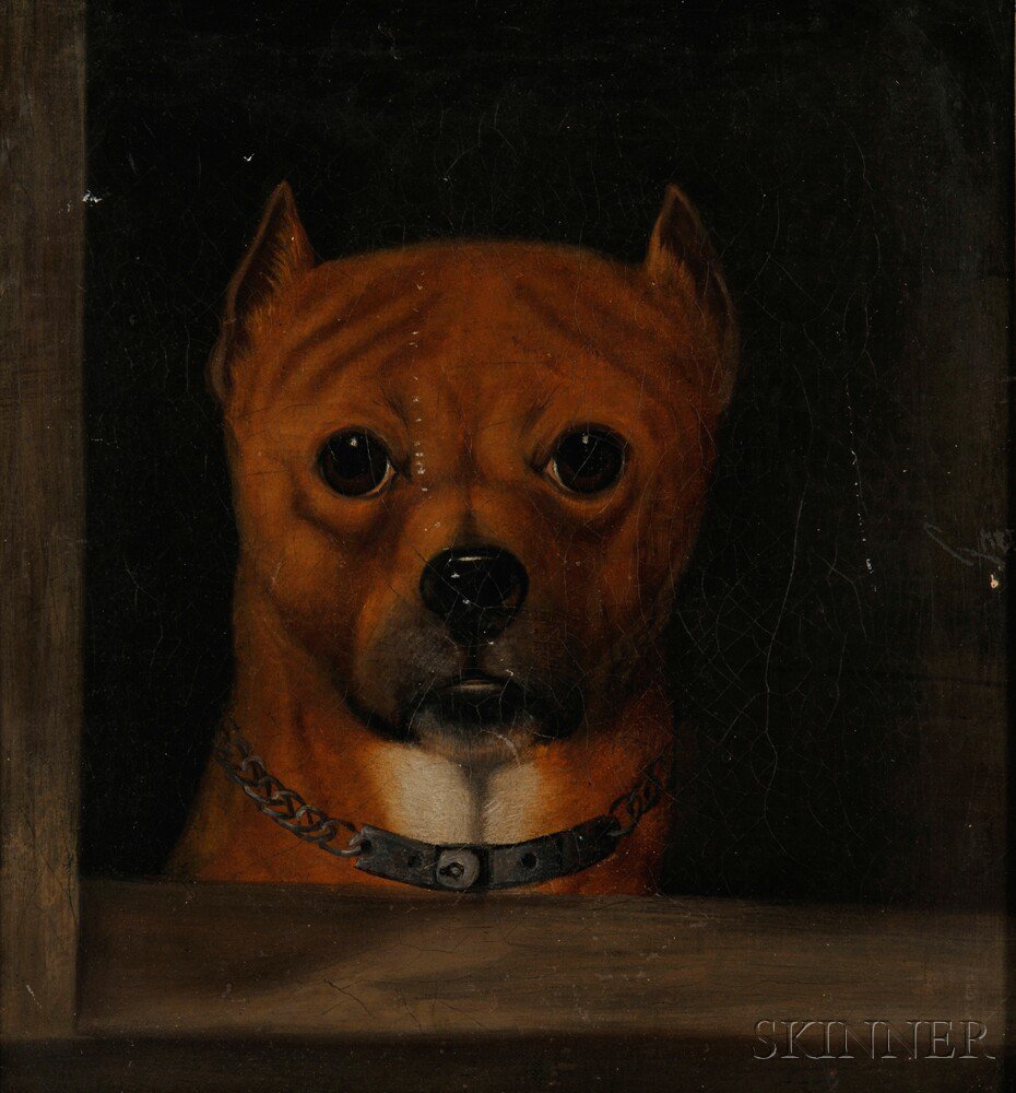 Appraisal: British School th Century Portrait Head of a Small Dog