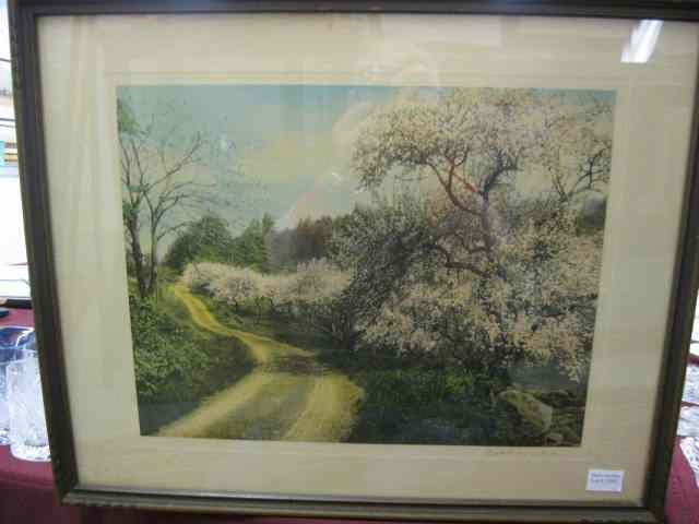 Appraisal: Wallace Nutting Print ''Decked as a Bride'' apple trees in