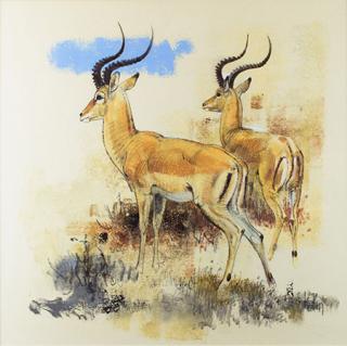 Appraisal: Impala by Bob Kuhn Bob Kuhn - Impala pastel and