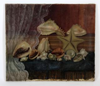 Appraisal: Oil on canvas still life with shells Oil on canvas