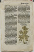 Appraisal: A German Book Leaf circa th Century Double sided German