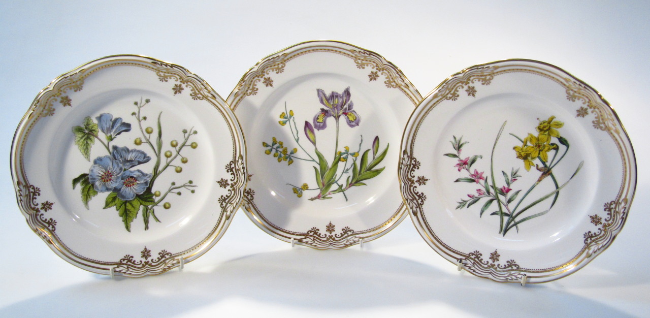 Appraisal: Various Spode Stafford Flowers cabinet plates to include Iris and