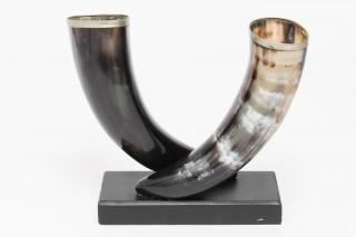 Appraisal: Mid Horns on wood base with silver-tone metal rims H