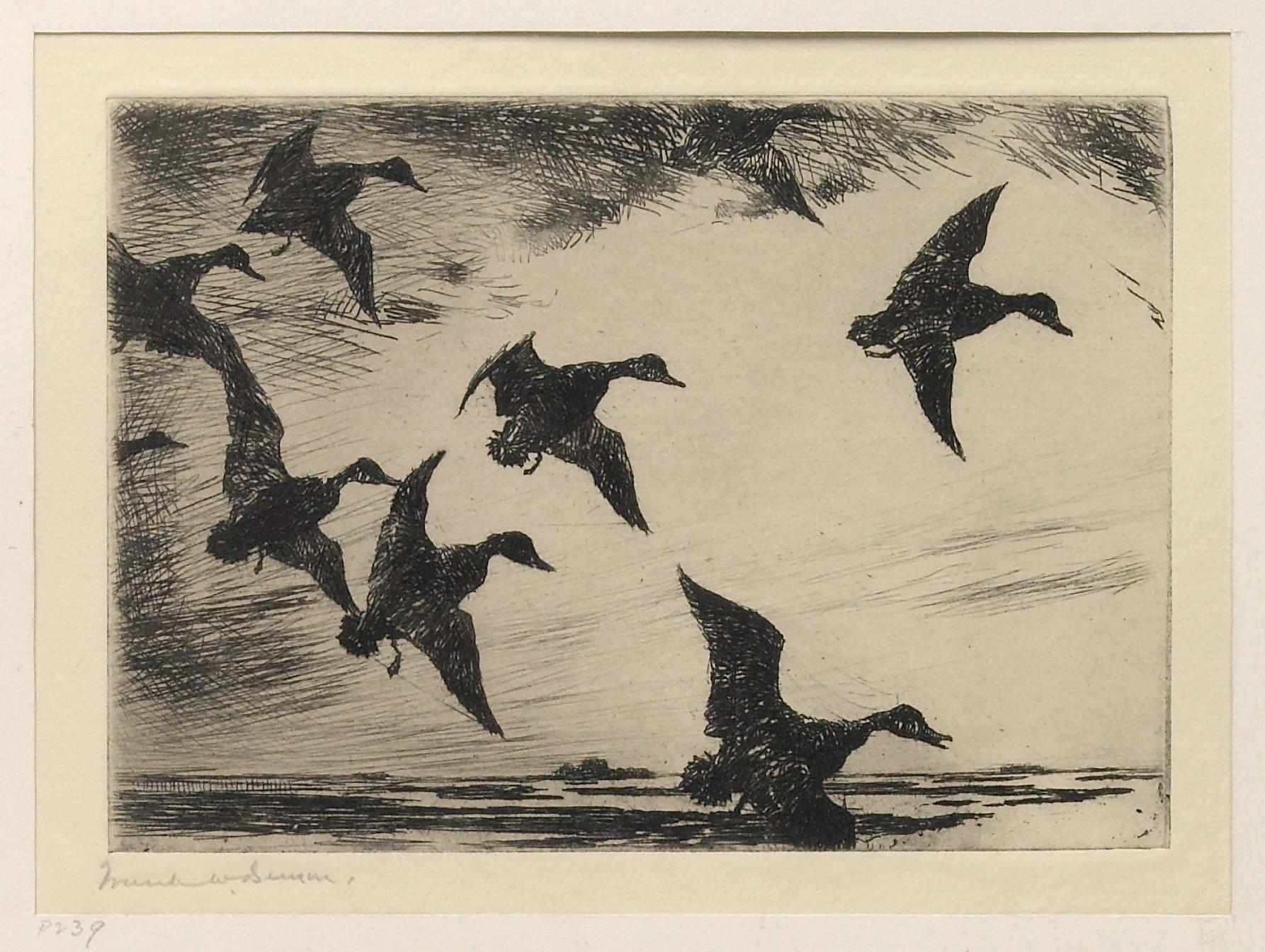 Appraisal: Frank Benson Black Ducks at Dusk Drypoint Unframedsigned and dated