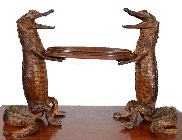 Appraisal: A PAIR OF TAXIDERMIC CAYMAN WAITERS holding an oval wooden