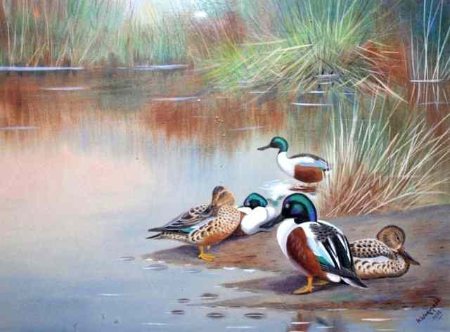 Appraisal: HUGH WORMALD TH CENTURY Ducks on a river bank signed