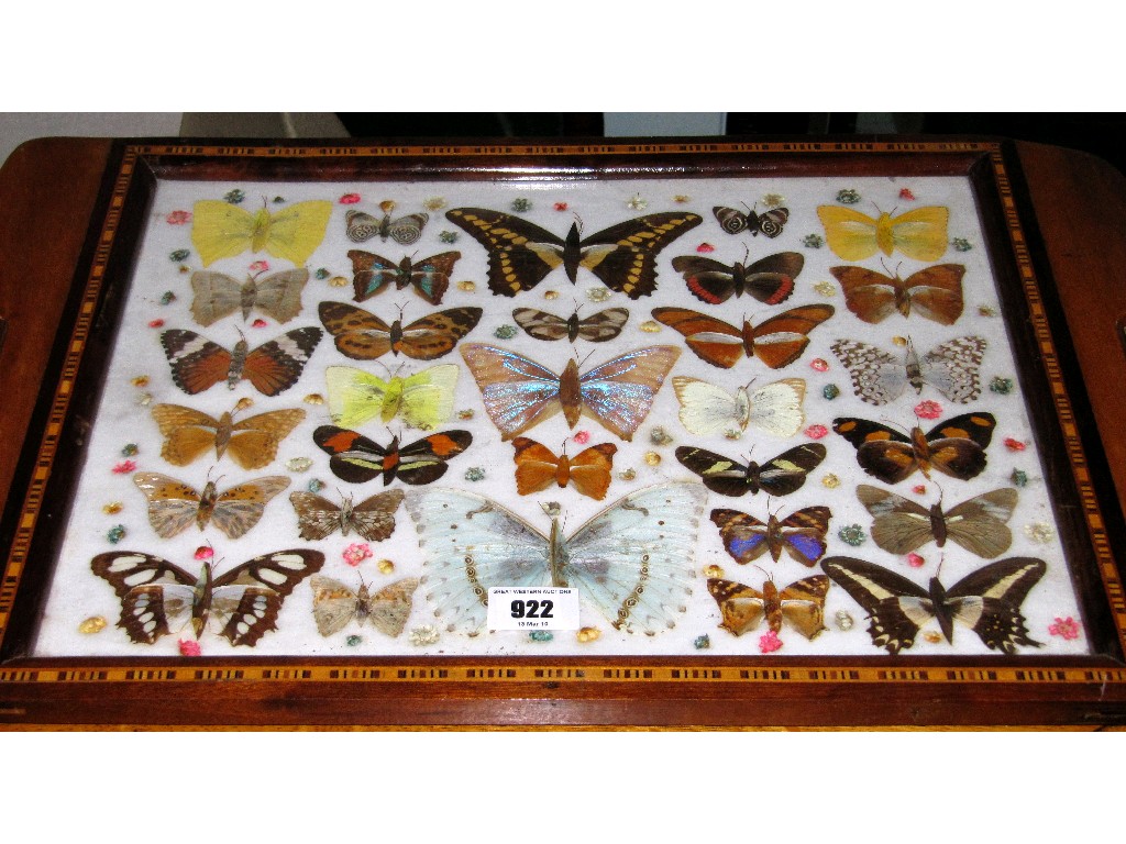 Appraisal: Butterfly wing tray with crossbanding