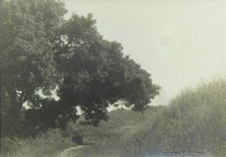 Appraisal: Photograph by Anne W Brigman Anne W Brigman American -