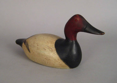 Appraisal: Evans canvasback drake duck decoy early th c l