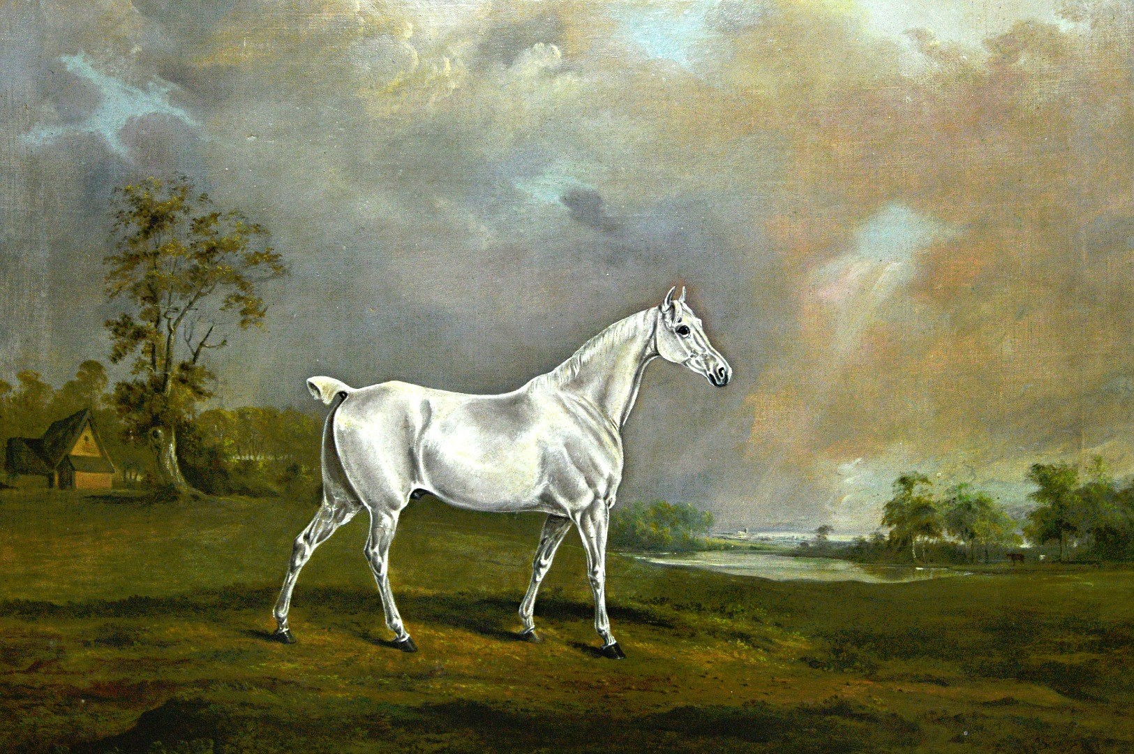 Appraisal: James Scraggs th century A grey horse in a landscape