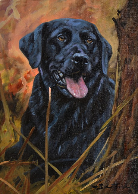 Appraisal: JOHN TRICKETT'Five Minutes Rest' A black labrador signed oils on