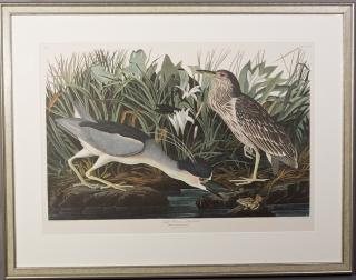 Appraisal: John James Audubon - Night Heron or Qua Bird No