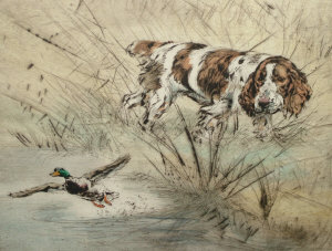 Appraisal: Henry Wilkinson b - Spaniel with a mallard etching printed