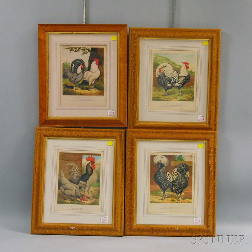 Appraisal: Four Framed Chromolithographs of Prize-winning Chickens England late th century