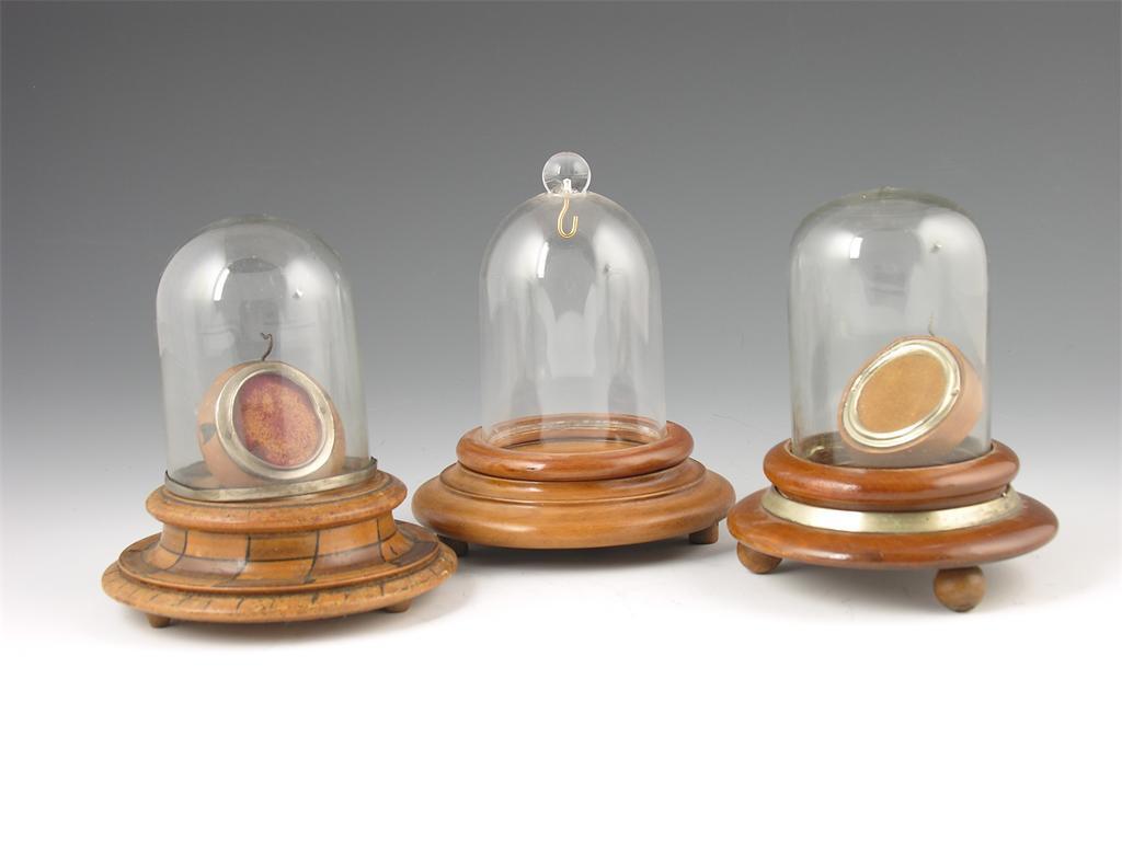 Appraisal: A turned wood and hinged glass dome watch stand