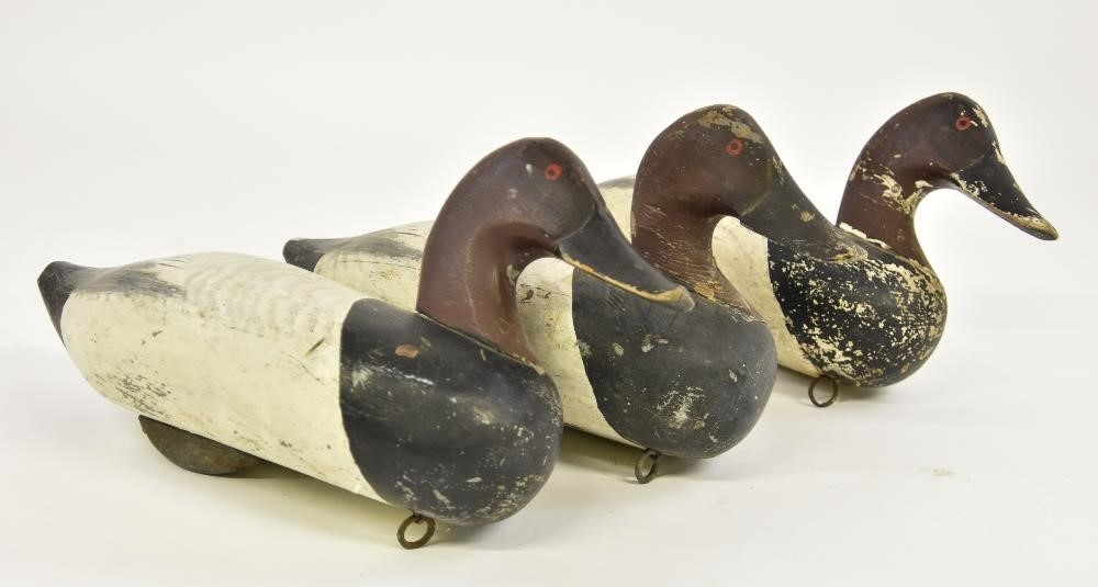 Appraisal: Three Susquehanna canvas back decoys Each approximately h x l