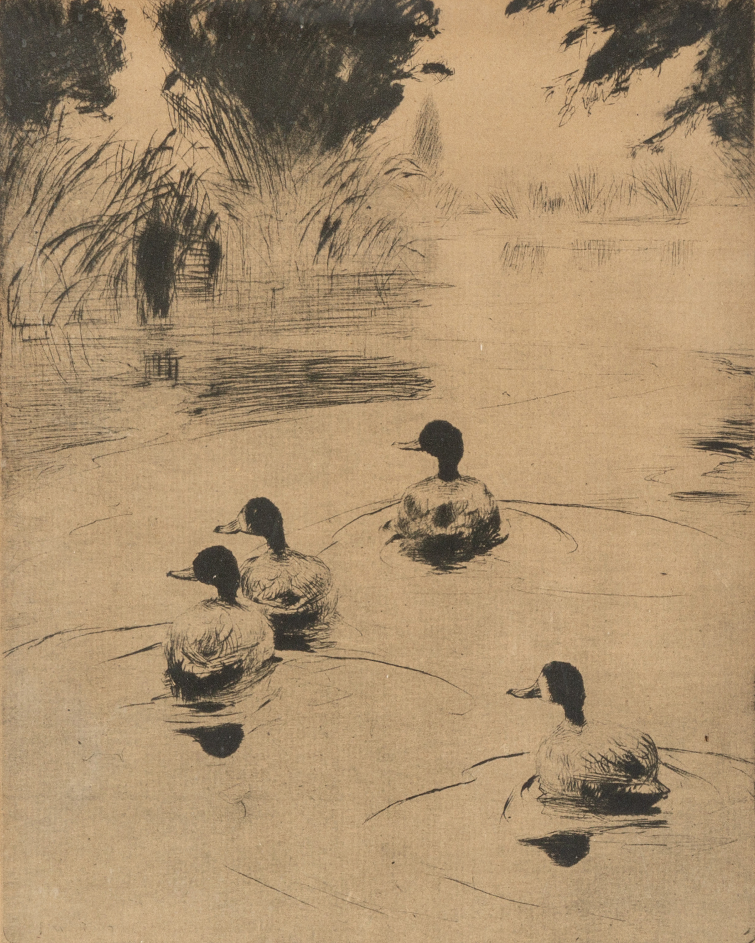 Appraisal: FRANK WESTON BENSON AMERICAN - BROADBILLS Print