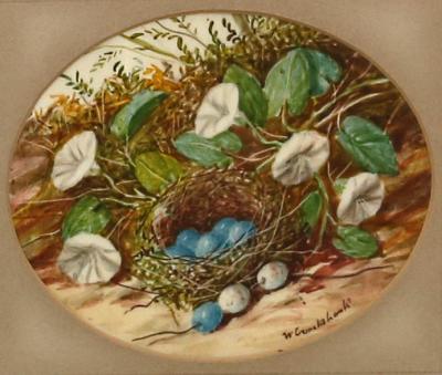 Appraisal: William Cruickshank RA British - Study of Birds Nest and