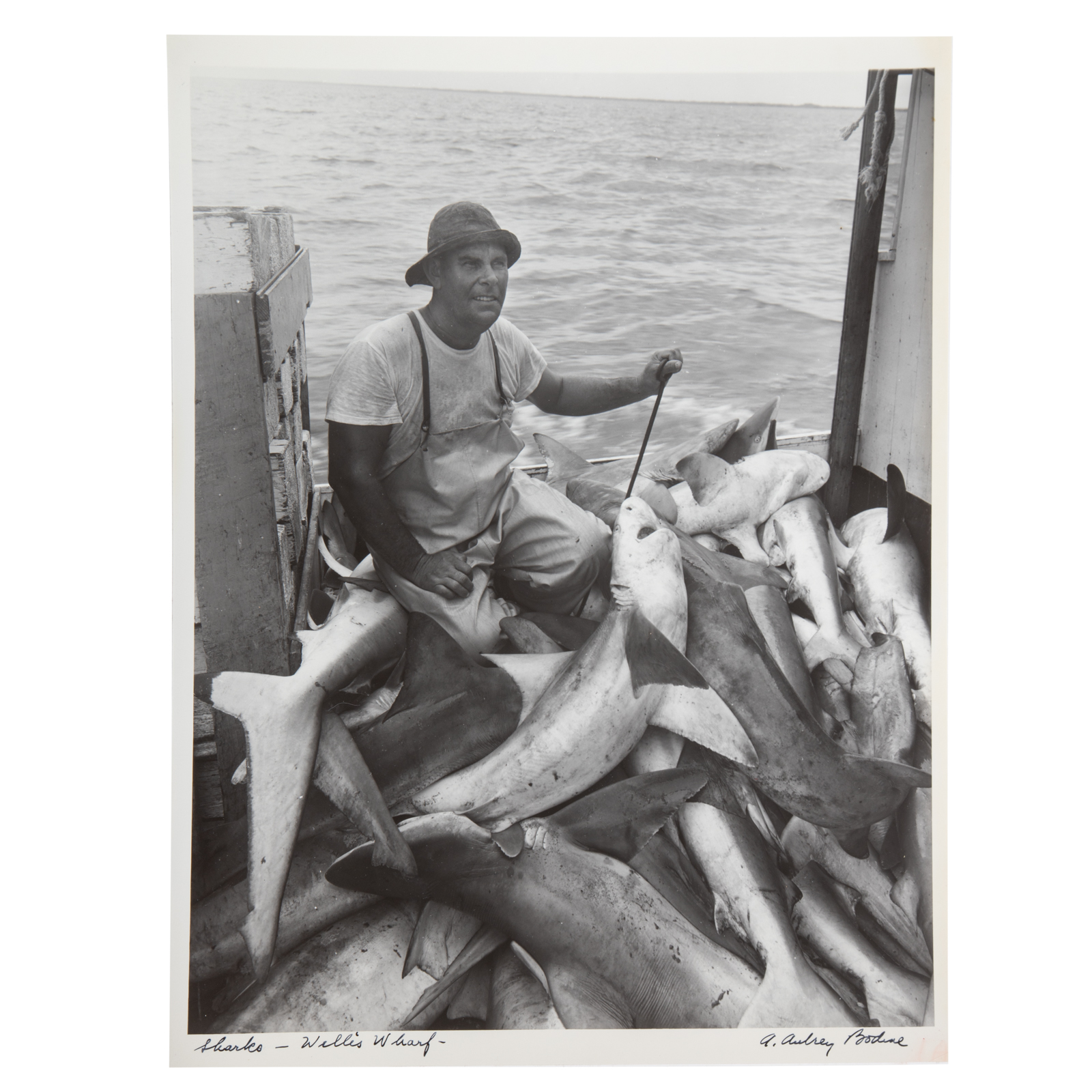 Appraisal: A AUBREY BODINE SHARKS-WILLIS WHARF American - Gelatin silver print