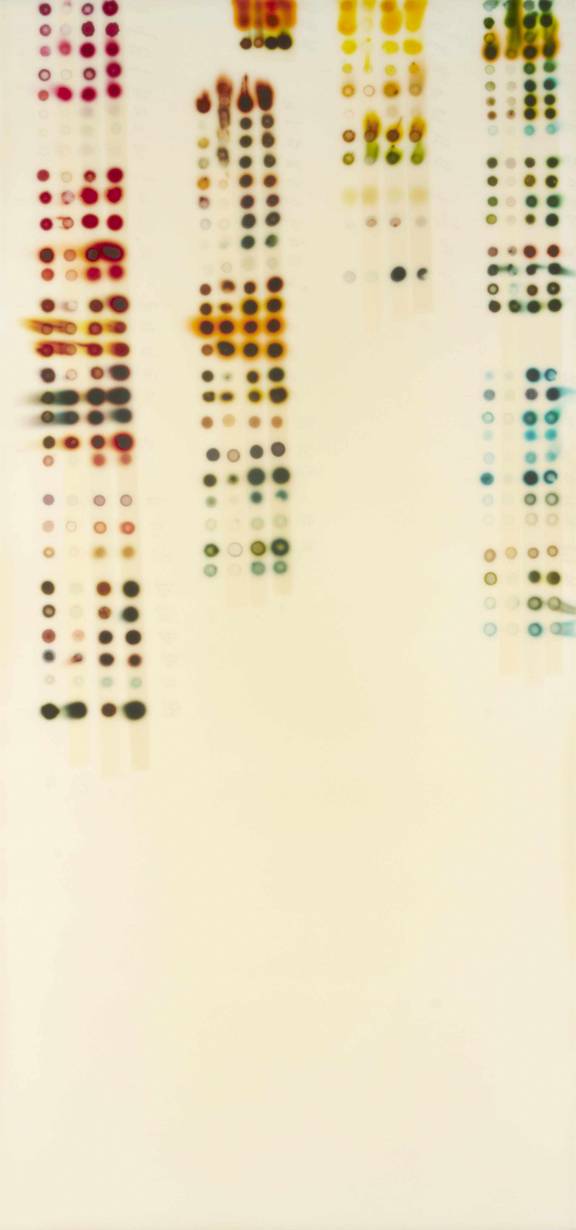 Appraisal: n a Jaq Chartier American born Stain Chart SUMMER diptych