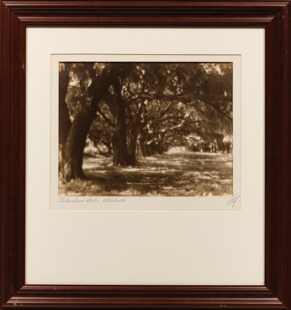 Appraisal: Eugene Delcroix American New Orleans - Packenham Oaks Chalmette gelatin