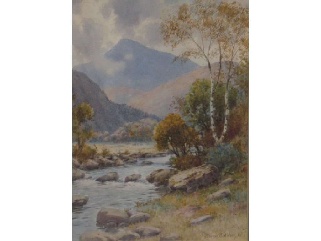 Appraisal: DARREN WILLIAMS A river landscape signed watercolour x -