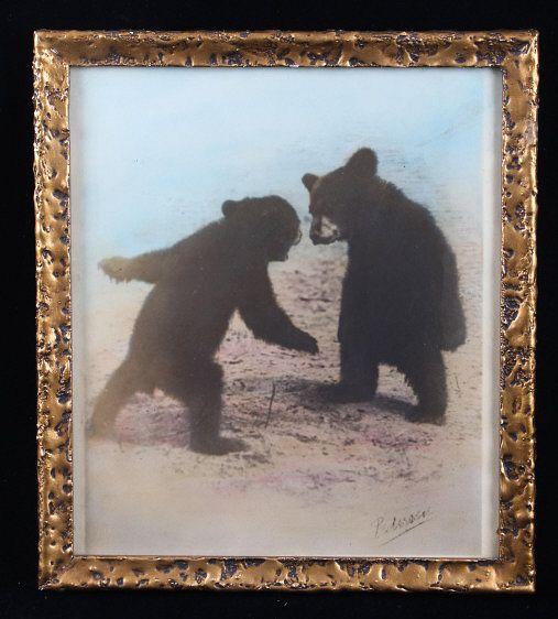 Appraisal: Pedersen Signed Bear Cub Challenge Framed Print Included in this