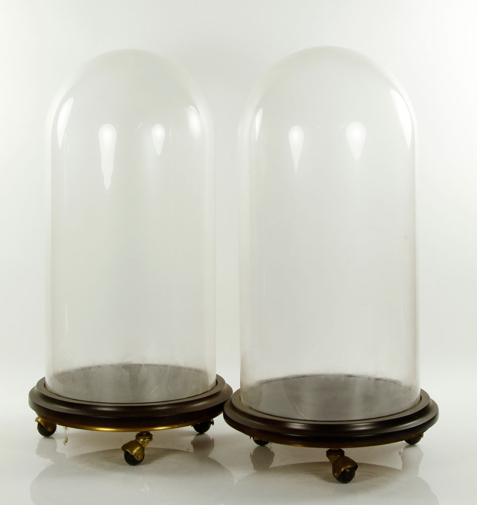 Appraisal: - Domed Glass Vitrines Pair of two vitrines set atop