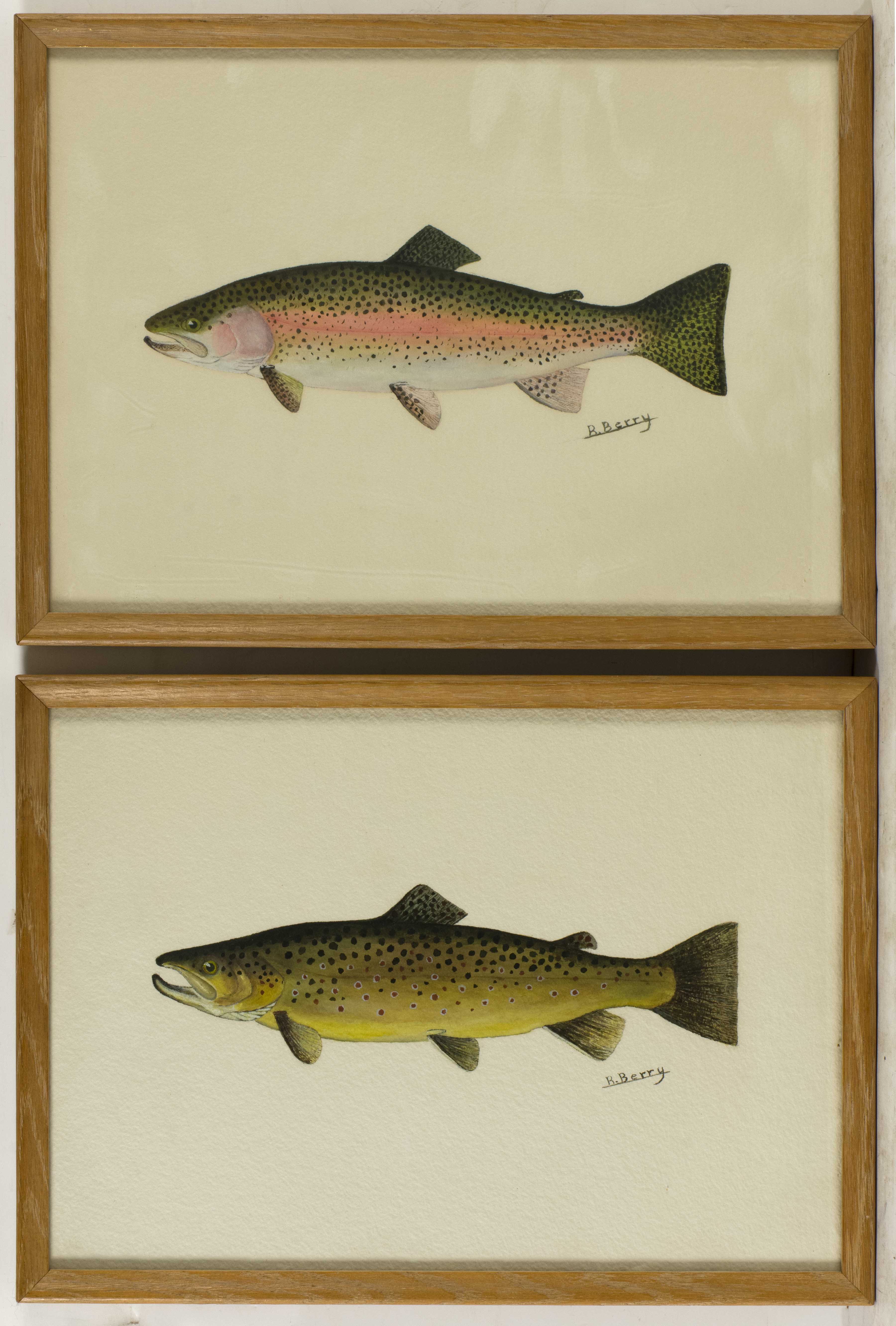 Appraisal: ROBERT BERRYAmerican th CenturyPair of fish portraits A brown trout