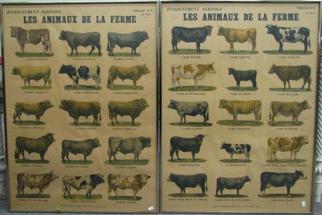 Appraisal: Pair of Antique French prints ''Les Animeaux De La Ferme''